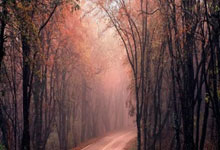 俄乌冲突迎来三周年 停火有可能吗?.