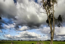 英超:诺丁汉森林客场3-0狼队 豪取六连胜.