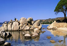 庫裏談10勝2負的開局:我們有能力應對聯盟任何挑戰 但一切才剛開始.